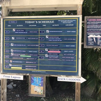 Dolphin Research Center - Tours Near Me - Marathon, Florida Dolphin Research Center - Tours Near Me - Marathon, Florida