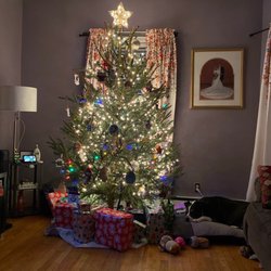 Crane Neck Tree Farm
