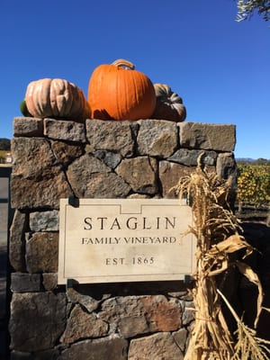 Staglin Family Vineyard by null