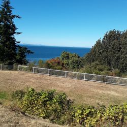 Crown Park - The view
