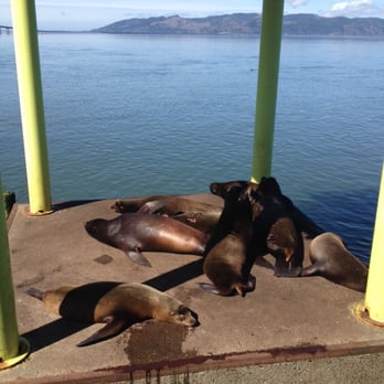 Buoy Beer - Brewpubs Near Me - Astoria, Oregon