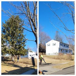 JNP Tree Removal - Before and after tree removal in Shelton, Connecticut.
