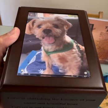 Small Paws Cremations - Pet Cremation Services Near Me - Los Angeles, California Small Paws Cremations - Pet Cremation Services Near Me - Los Angeles, California