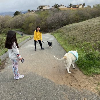 SPCA Monterey County - Nelly is a great walk companion to Addie, he takes it nice and slow the way she likes it. :) - Pet Training Near Me - Salinas, California