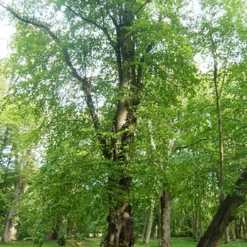 Landschaftspark Pansevitz - Privates Foto - Parks Near Me