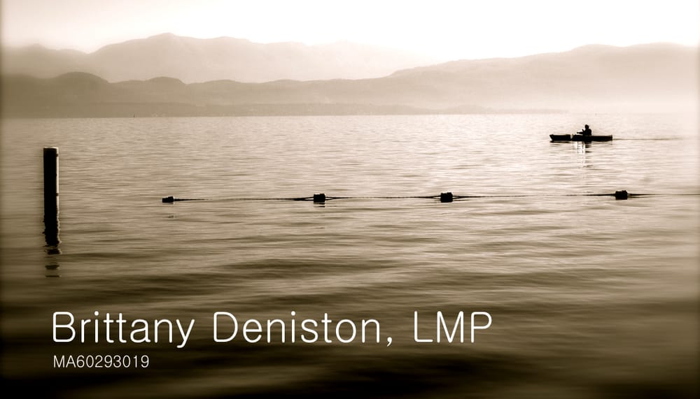 Brittany Deniston Logo