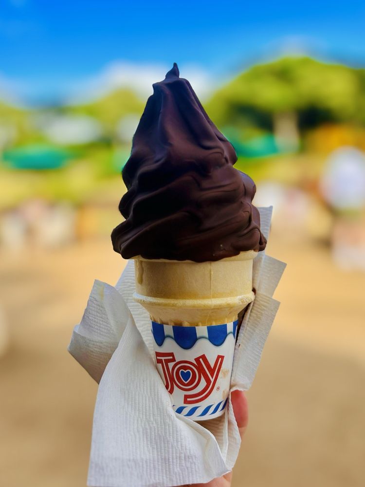 Dole Plantation - wedding in Wahiawa, HI