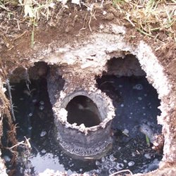 A-1 National Septic - Grease build up can clog your septic lines. This can cause your septic to back up in to your house.