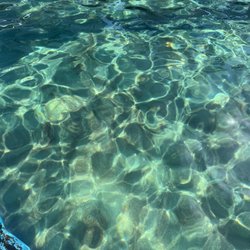 Dolphin Nursery