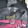 Maui Sporting Goods Spearfishing Specialties- Honolulu gift card