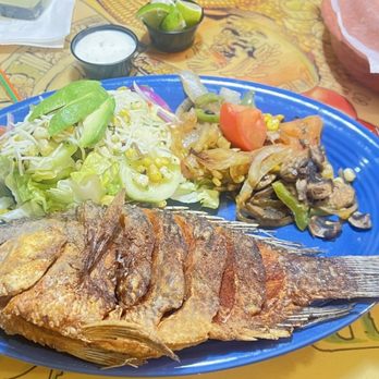Mariscos Altamar - Tilapia Mojarra - A blue plate holds a fried whole fish, a salad with lettuce, corn, and avocado, and cooked vegetables including carrots and mushrooms. - Mexican Near Me - Albuquerque, New Mexico