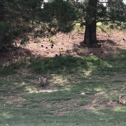 Texas Tech University Rawls College of Business - Side view of #5 tee box