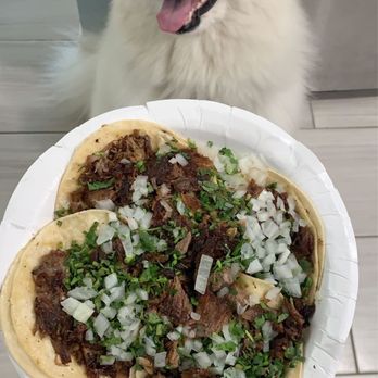 Cheztakos!!! - Take home order of 4 brisket tacos before adding salsa and grilled onions ft floof - Mexican Near Me - Mountain View, California
