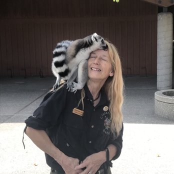 Classroom Safari - Rohnert Park Halloween Carnival 2018 Classroom Safari Bonnie and Mischief - Party & Event Planning Near Me