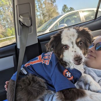 Good DaweG - Pet Training Near Me - Houston, Texas Good DaweG - Pet Training Near Me - Houston, Texas