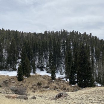 Mueller State Park - Hiking Near Me - Divide, Colorado