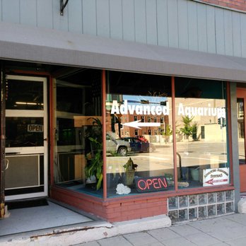 Advanced Aquarium Systems - Green Bay - Front window -right side - Pet Stores Near Me - Green Bay, Wisconsin Advanced Aquarium Systems - Green Bay - Front window -right side - Pet Stores Near Me - Green Bay, Wisconsin
