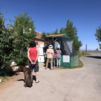 Colorado Gators Reptile Park - Zoos Near Me - Mosca, Colorado