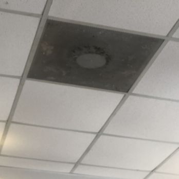 105 Cafe - Mold seen - American Near Me - Conroe, Texas