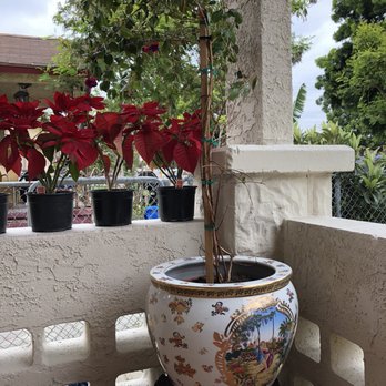 Rainbow - Nurseries & Gardening Near Me - Rosemead, California Rainbow - Nurseries & Gardening Near Me - Rosemead, California