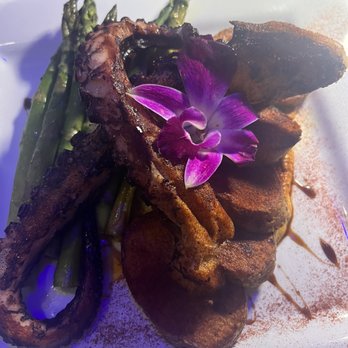 Nonna's Bistro & Cafe - Grilled Octopus - Argentine Near Me - Pompano Beach, Florida Nonna's Bistro & Cafe - Grilled Octopus - Argentine Near Me - Pompano Beach, Florida