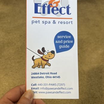 Paws & Effect - Pet Groomers Near Me - Westlake, Ohio Paws & Effect - Pet Groomers Near Me - Westlake, Ohio