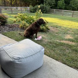 Comfort Tech Heating & Air Conditioning - Tabitha supervising.