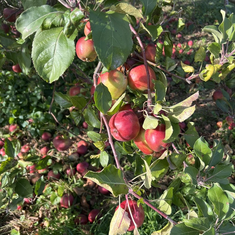 Fishkill Farms - Farmers Market Near Me - Hopewell Junction, New York