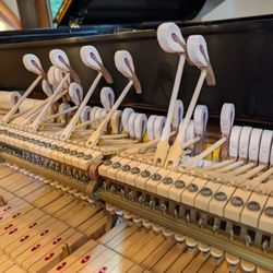 Pianova Piano Service