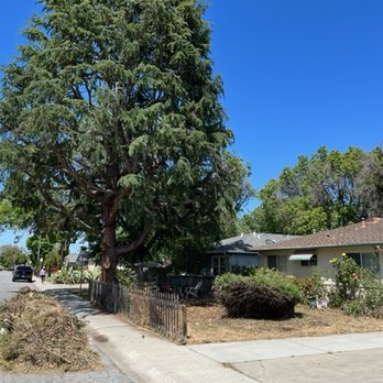 JC Tree Experts - Tree Services Near Me JC Tree Experts - Tree Services Near Me