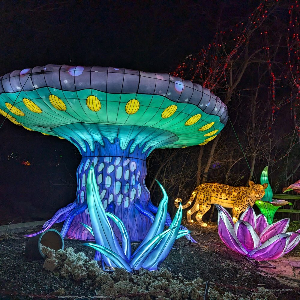 TOP 10 BEST Fun Things to Do With Kids near Waldo, Kansas City, MO 64114 -  Updated 2025 - Yelp, image size:1000x1000