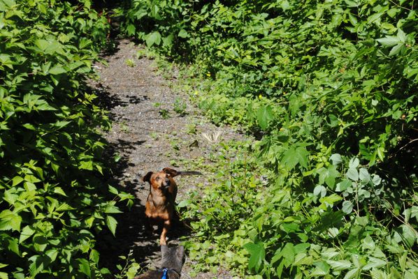 Park Place Apartments