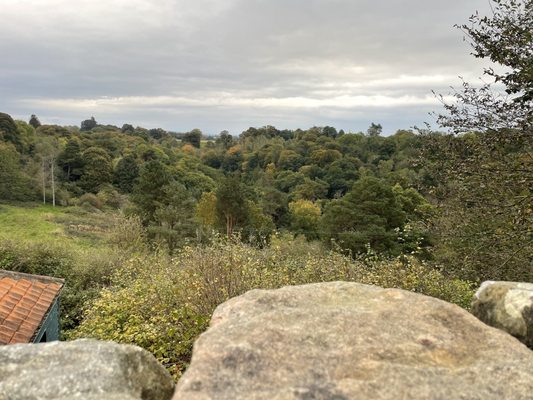 Roslin by null