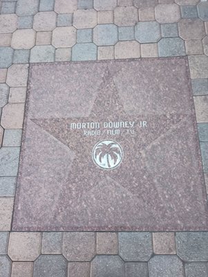 Walk of the Stars Palm Springs by null