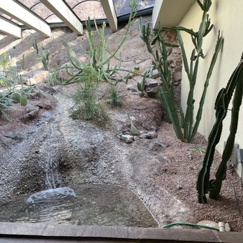 Marriott Phoenix Resort Tempe at The Buttes - Natural environment - Hotels Near Me - Tempe, Arizona