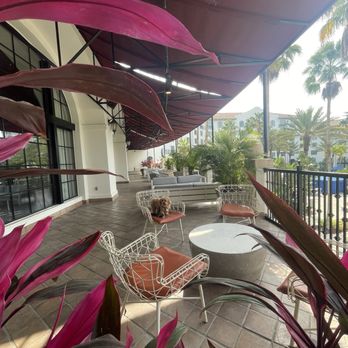 Universal Orlando- Hard Rock Hotel - Hotels Near Me - Orlando, Florida Universal Orlando- Hard Rock Hotel - Hotels Near Me - Orlando, Florida