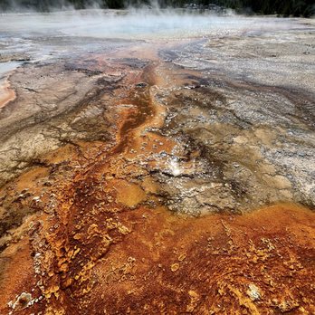 Yellowstone Safari Company - Walking Tours Near Me Yellowstone Safari Company - Walking Tours Near Me