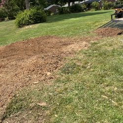 Wades Tree And Stump Removal - Stumps removed