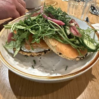 The Speckled Egg PGH - Breakfast & Brunch Near Me - Pittsburgh, Pennsylvania The Speckled Egg PGH - Breakfast & Brunch Near Me - Pittsburgh, Pennsylvania