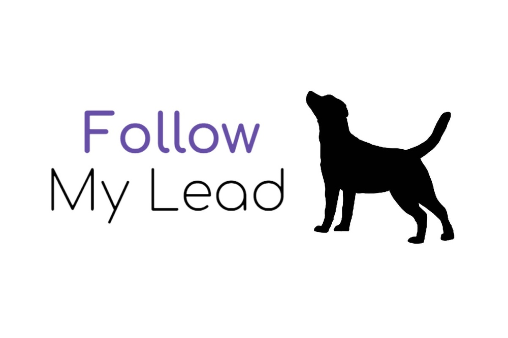 FOLLOW MY LEAD DOG TRAINING Updated October 2024 77 Photos & 47