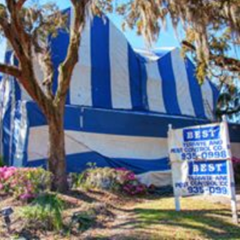 Best Termite & Pest Control - Pest Control Near Me - Tampa, Florida Best Termite & Pest Control - Pest Control Near Me - Tampa, Florida