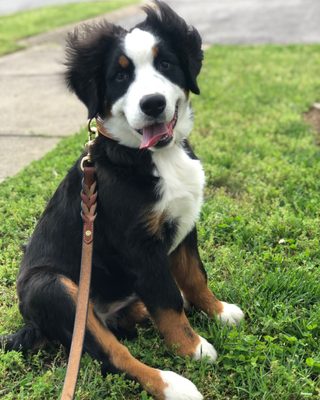 Cool Springs Wines & Spirits by null