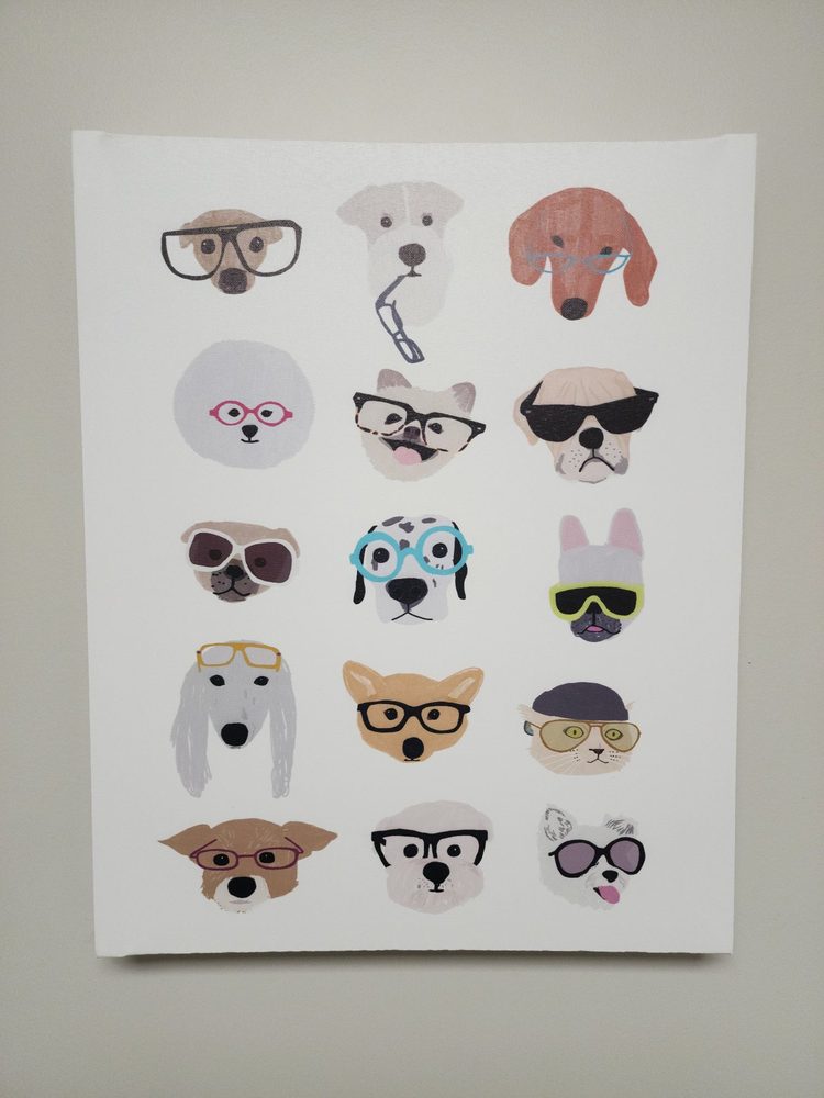 ANIMAL EYE CARE Updated August 2024 2800 S Lynnhaven Rd, Virginia