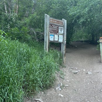 Burch Hollow Trail - Hiking Near Me - Salt Lake City, Utah Burch Hollow Trail - Hiking Near Me - Salt Lake City, Utah