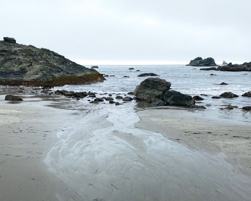 Harris Beach by null