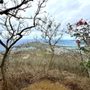 Koko Crater Trail