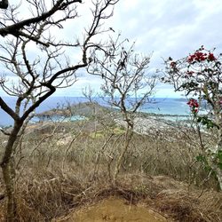 Koko Crater Trail - Sept 2025 - Top view of the city