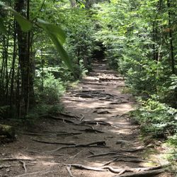 Black Cap Trail - It starts out fairly flat....