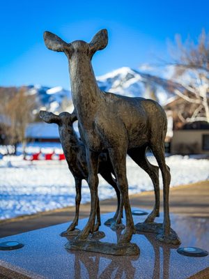 Sun Valley Resort by null