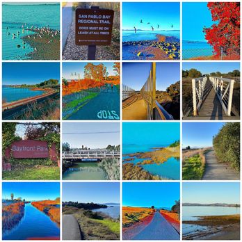 San Pablo Bay Regional Trail - Montage of images from San Pablo Bay Regional Trail - Hiking Near Me - Pinole, California San Pablo Bay Regional Trail - Montage of images from San Pablo Bay Regional Trail - Hiking Near Me - Pinole, California